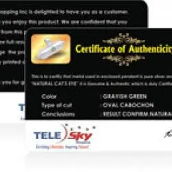 Mindware Warranty Card