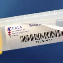 Removable-labels