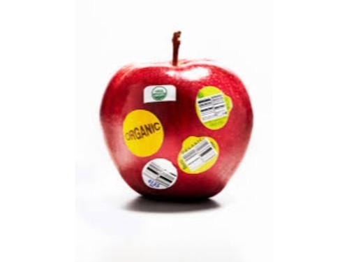 Multicolor Paper Fruit Stickers Labels