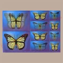 Mindware Lenticular Holograms