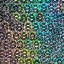 Hologram Labels Stickers